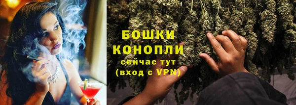 ECSTASY Новодвинск