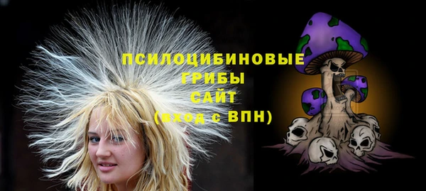PSILOCYBIN Нязепетровск