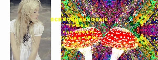 шишки Остров