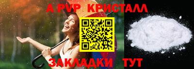хмурый Кингисепп