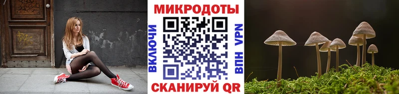 Галлюциногенные грибы Cubensis  где можно купить наркотик  Сочи 